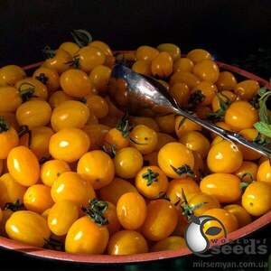 Томат "Мода" F1 100 семена (Yuksel Seeds)