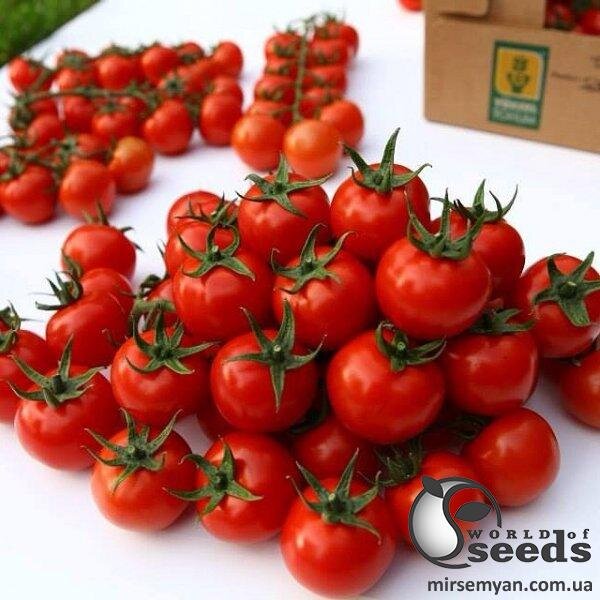 Томат "Марголь" F1 100 семена (Yuksel Seeds) Томат "Марголь" F1 100 семена (Yuksel Seeds)