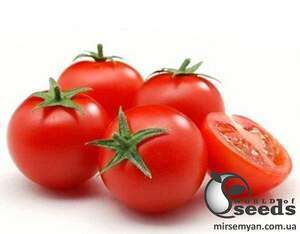 Томат "Марголь" F1 100 семена (Yuksel Seeds)