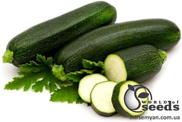 Кабачок "Тарміно F1/Tarmino F1" 500 насінин, Клоз (Clause) Кабачок "Тарміно F1/Tarmino F1" 500 насінин, Клоз (Clause)