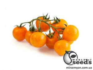 Насіння томату "КС 3670 F1" 250 сем , Kitano/Китано