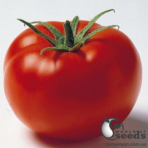 Томат "Джем F1/Jam F1" 500 семена Ергон (Ergon seeds) Томат "Джем F1/Jam F1" 500 семена Ергон (Ergon seeds)