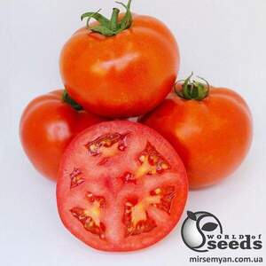 Томат "Джем F1/Jam F1" 500 семена Ергон (Ergon seeds) Томат "Джем F1/Jam F1" 500 семена Ергон (Ergon seeds)