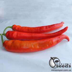 Перець гіркий "ES 8716 F1" 100 семена Ергон (Ergon seeds)