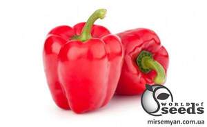 Насіння перцю "1601 F1" 500 с. Lark Seesd USA