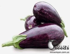 Баклажан Ріко F1, 100 нас. (Lark Seesd USA)