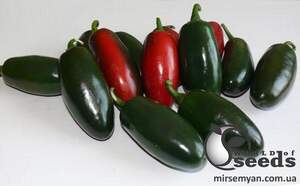 Насіння перцю гострого "1851 F1" 500 с. Lark Seesd USA