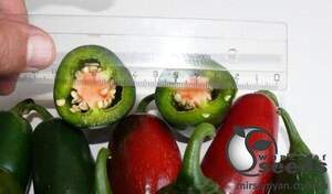 Насіння перцю гострого "1851 F1" 500 с. Lark Seesd USA Насіння перцю гострого "1851 F1" 500 с. Lark Seesd USA