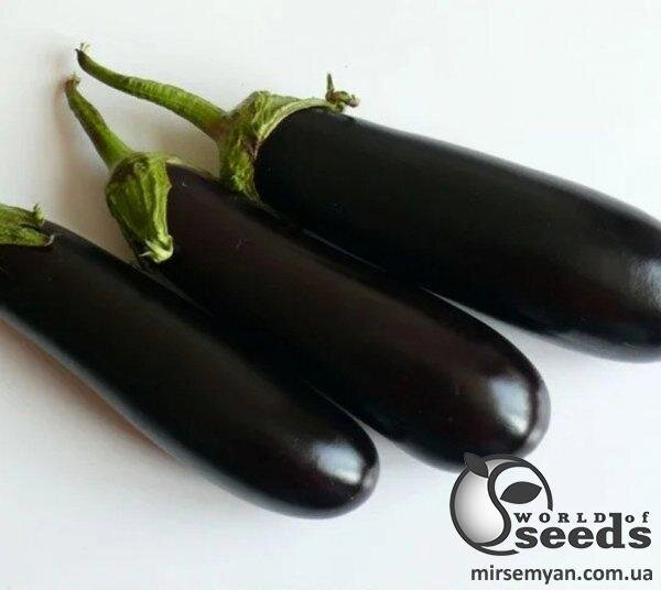 Баклажан Мірінда F1, 1 000 нас. (Lark Seesd USA) Баклажан Мірінда F1, 1 000 нас. (Lark Seesd USA)