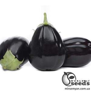 Баклажан Раунд F1 500 нас. (Yuksel Seeds)