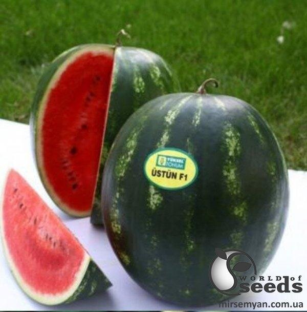 Кавун "Устун" F1 1 000с. (Yuksel Seeds) Кавун "Устун" F1 1 000с. (Yuksel Seeds)