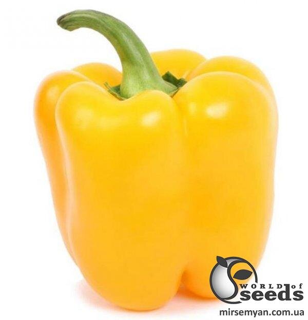 Перець "Деніз F1" 100с. (Yuksel Seeds) Перець "Деніз F1" 100с. (Yuksel Seeds)