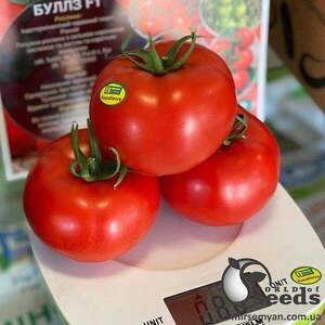 Томат "Буллз" F1 500 семена (Yuksel Seeds) Томат "Буллз" F1 500 семена (Yuksel Seeds)