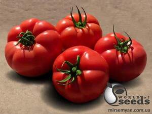 Томат "Пінк Хіт" F1 100 семена (Yuksel Seeds)