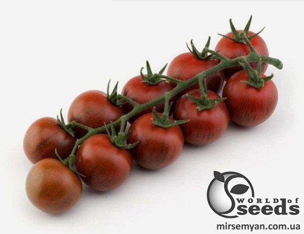 Томат "Тайгер" F1 100 семена (Yuksel Seeds) Томат "Тайгер" F1 100 семена (Yuksel Seeds)
