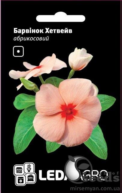 Катарантус (барвінок) Хетвейв абрикосовий 10 насінин. Л Катарантус (барвінок) Хетвейв абрикосовий 10 насінин. Л