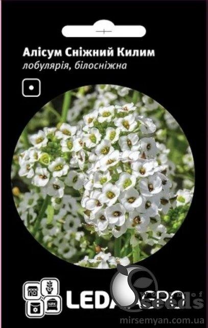 Аліссум (лобулярія) "Сніговий килим" 0,2 г. Л Аліссум (лобулярія) "Сніговий килим" 0,2 г. Л
