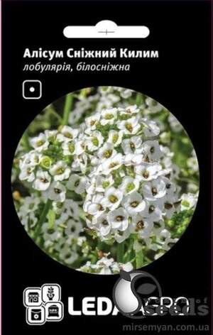 Аліссум (лобулярія) "Сніговий килим" 0,2 г. Л