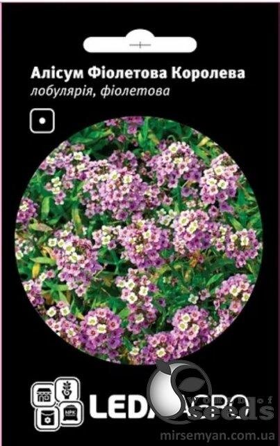 Аліссум (лобулярія) "Фіолетова королева" 0,2 г. Л Аліссум (лобулярія) "Фіолетова королева" 0,2 г. Л