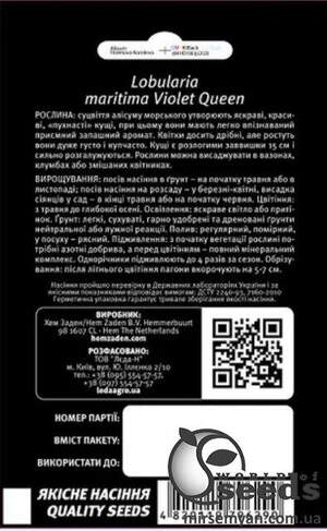 Аліссум (лобулярія) "Фіолетова королева" 0,2 г. Л Аліссум (лобулярія) "Фіолетова королева" 0,2 г. Л