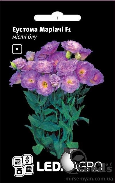 Еустома Маріачі F1, міст блуї 5 семена Л Еустома Маріачі F1, міст блуї 5 семена Л