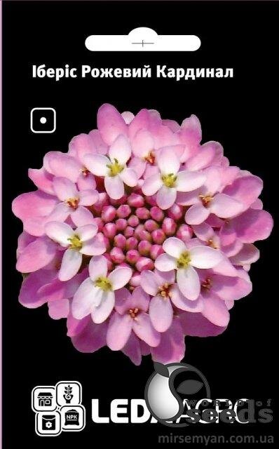 Іберіс Рожевий Кардинал 0.5 г Іберіс Рожевий Кардинал 0.5 г