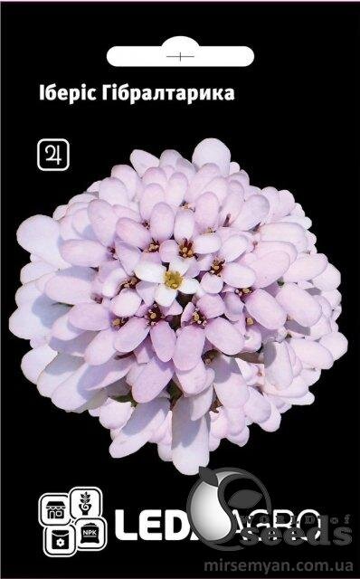 Іберіс Гібралтарика 0.3 г Іберіс Гібралтарика 0.3 г