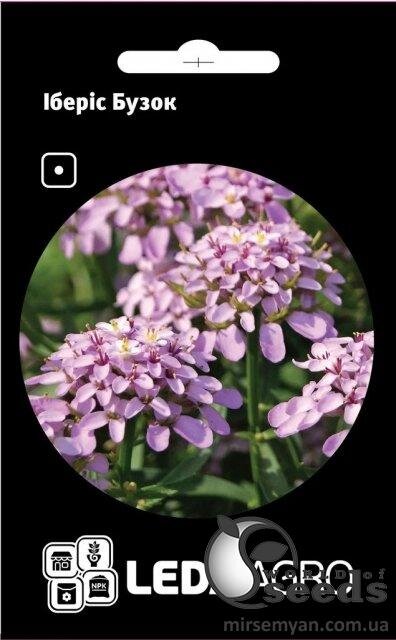 Іберіс Бузок 0.5 г Іберіс Бузок 0.5 г