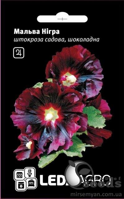 Мальва Нігра шоколадна 0.3 г Мальва Нігра шоколадна 0.3 г