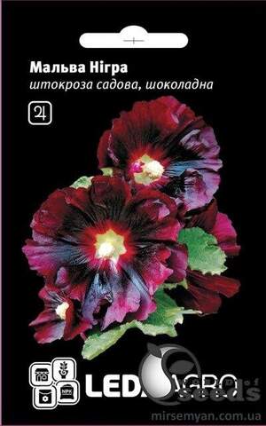 Мальва Нігра шоколадна 0.3 г