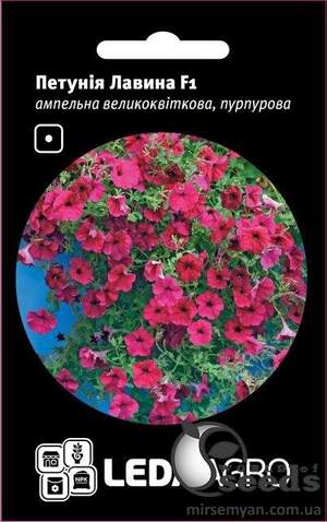 Петунія Лавина F1 Пурпурна, ампельна великоквіткова, 10 семена Л
