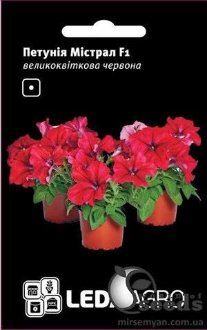 Петунія Містрал F1, багатоквіткова червона, 10 сем. Л