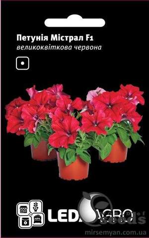 Петунія Містрал F1, багатоквіткова червона, 10 семена Л