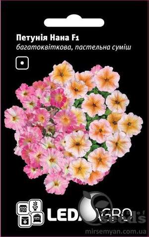 Петунія Нана F1, багатоквіткова пастельна суміш, 10 сем. Л