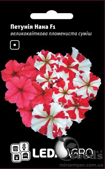 Петунія Нана F1, великоквіткова полум'яна суміш, 10 семена Л Петунія Нана F1, великоквіткова полум'яна суміш, 10 семена Л