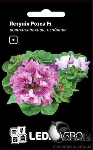 Петунія Розеа F1, рожева великоквіткова особлива 10 семена Л