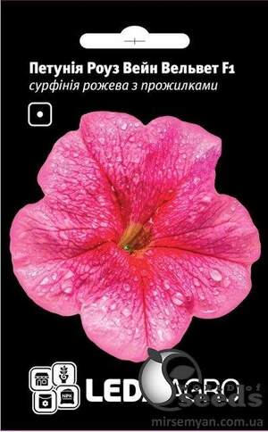 Петунія Роуз Вейн Вельвет F1, сурфінія рожева з прожилками 5 семена Л