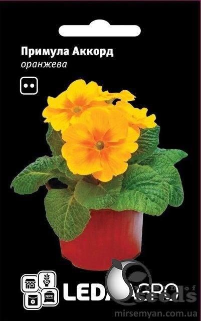 Примула Акорд F1, помаранчева 10 семена Л Примула Акорд F1, помаранчева 10 семена Л