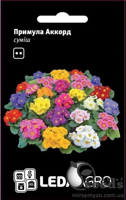 Примула Акорд F1, суміш 10 семена Л Примула Акорд F1, суміш 10 семена Л