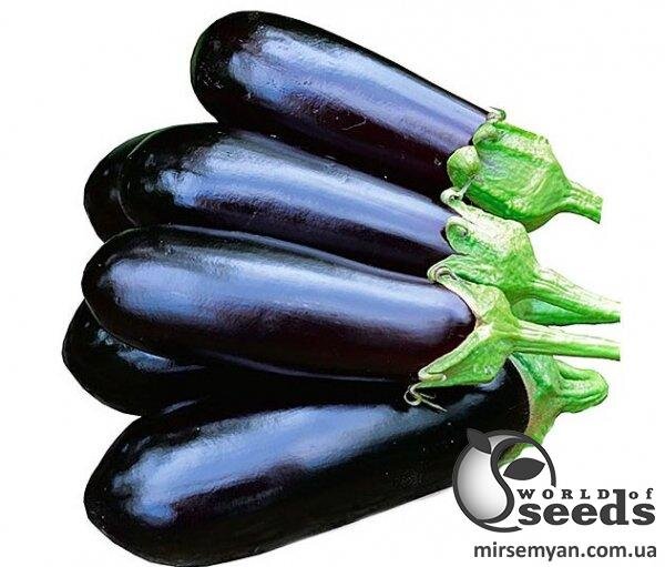 Баклажан Анатолія F1 10 нас. Л Баклажан Анатолія F1 10 нас. Л