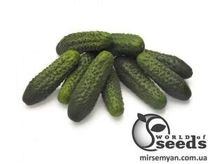 Огірок Престо F1 10 семена Л