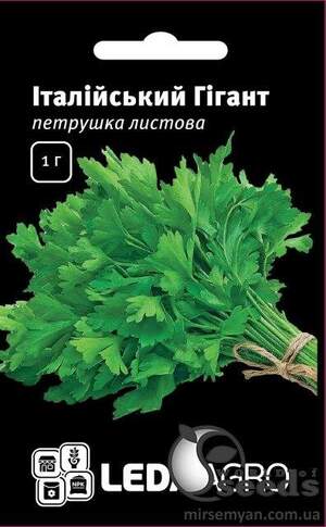 Петрушка листова Італійський гігант 1г. Л