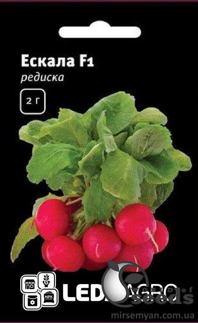 Редис Ескала F1 2г Л Редис Ескала F1 2г Л