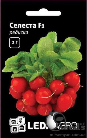 Редис Селеста F1 2г Л