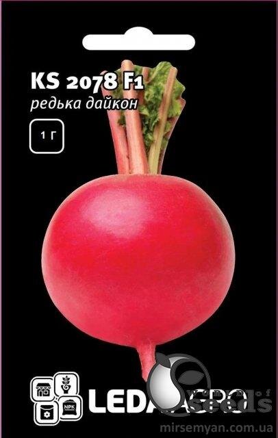 Редька дайкон KS 2078 F1 1г Л Редька дайкон KS 2078 F1 1г Л