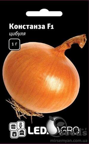 Цибуля Констанза F1 1 р. Л