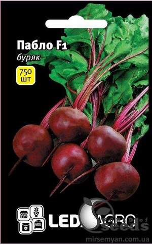 Буряк столовий "Пабло" F1 750 нас. L (Bejo Zaden)