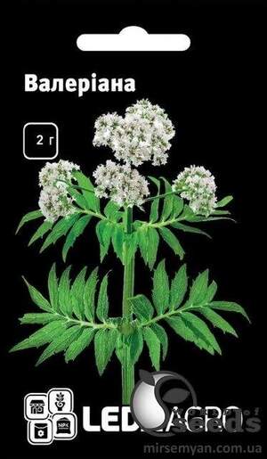 Валеріана 2 гр. L (Hem Zaden BV Нідерланди)