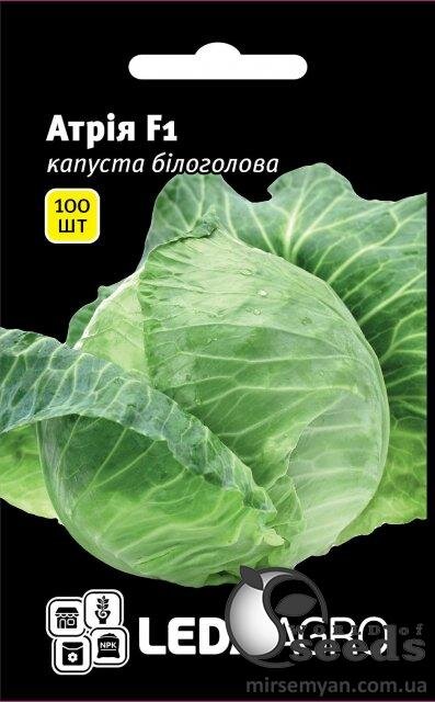 Насіння капусти Атрія F1 100 семена L (Seminis) Насіння капусти Атрія F1 100 семена L (Seminis)