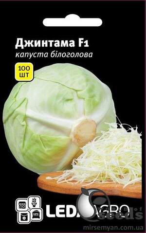 Капуста білокачанна, "Джинтама" F1 100 семена L (Rijk Zwaan)